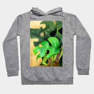 Mini Monstera - White Hoodie